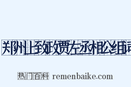 郑州上致政贾左丞相公组词是什么意思的图片